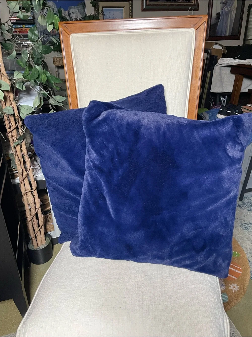 Royal Blue Velvety Soft 22” Throw Pillows - Set of 2